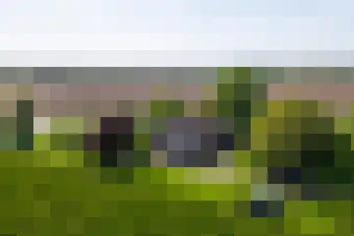 Blankertseweg 8 Meteren thumbnail 33