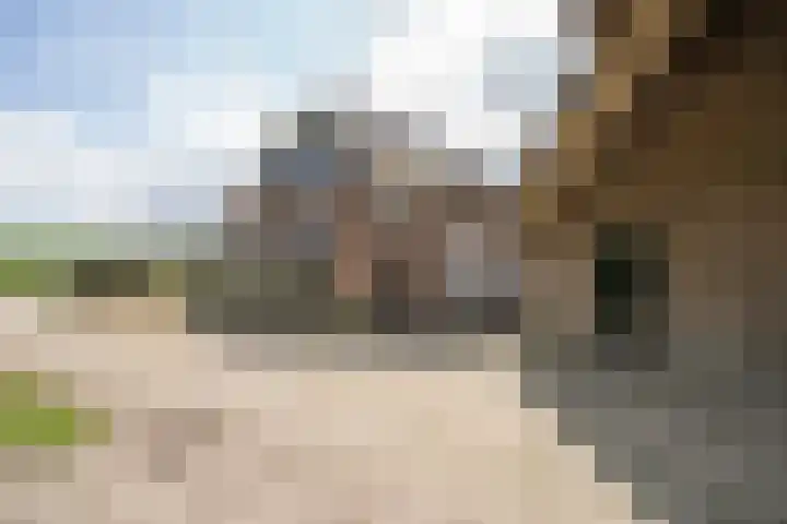 Blankertseweg 8 Meteren thumbnail 34