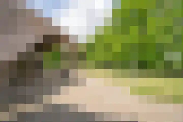 Blankertseweg 8 Meteren thumbnail 35