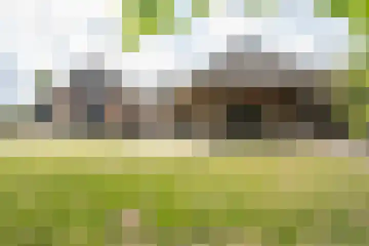 Blankertseweg 8 Meteren thumbnail 4