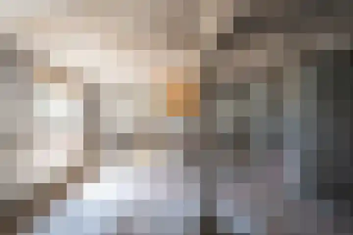 Blankertseweg 8 Meteren thumbnail 46