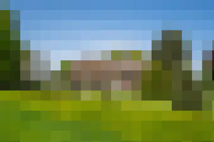 Blankertseweg 8 Meteren thumbnail 48