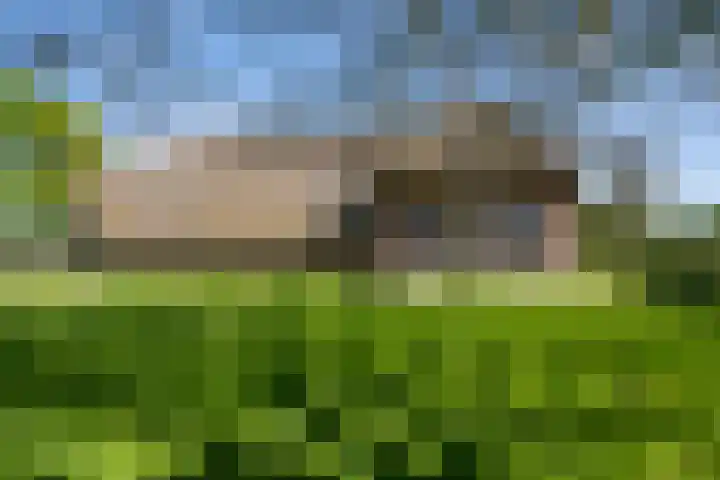 Blankertseweg 8 Meteren thumbnail 49