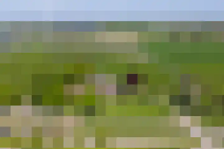 Blankertseweg 8 Meteren thumbnail 50