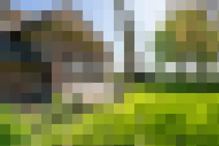Blankertseweg 8 Meteren thumbnail 52