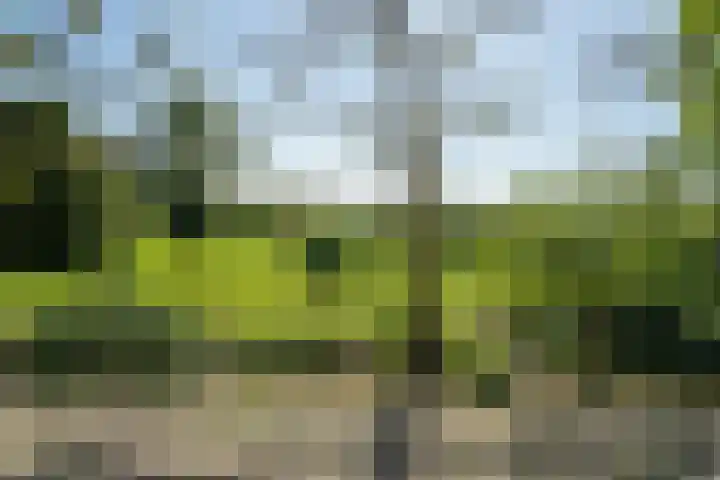 Blankertseweg 8 Meteren thumbnail 53