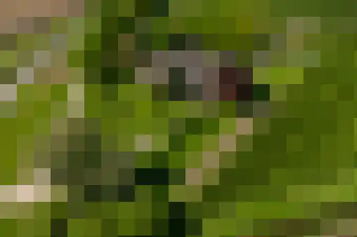 Blankertseweg 8 Meteren thumbnail 61