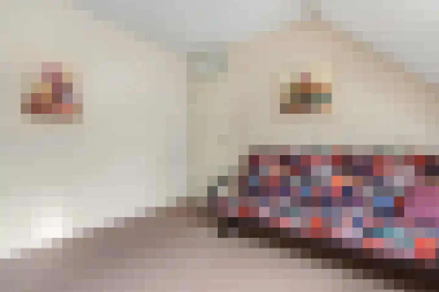Blankespoorselandweg 27 Lunteren thumbnail 22