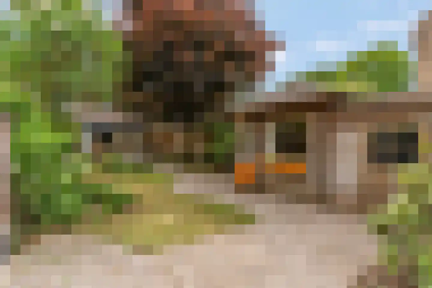 Blankespoorselandweg 27 Lunteren thumbnail 23