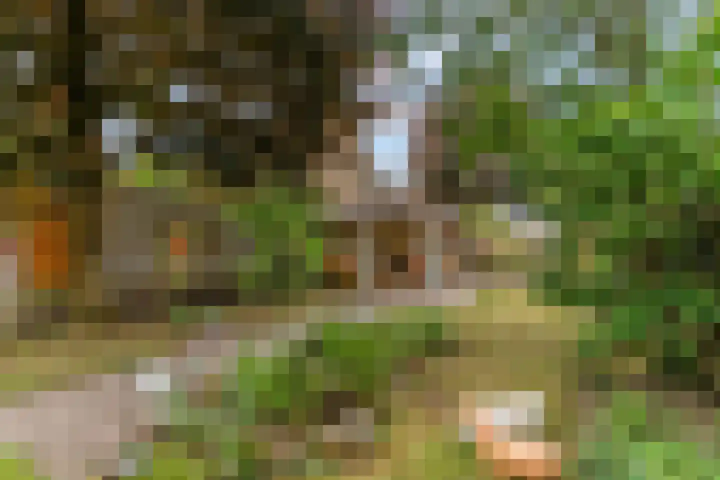 Blankespoorselandweg 27 Lunteren thumbnail 24