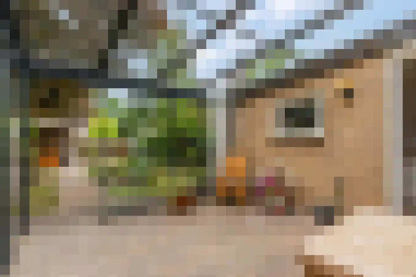 Blankespoorselandweg 27 Lunteren thumbnail 28