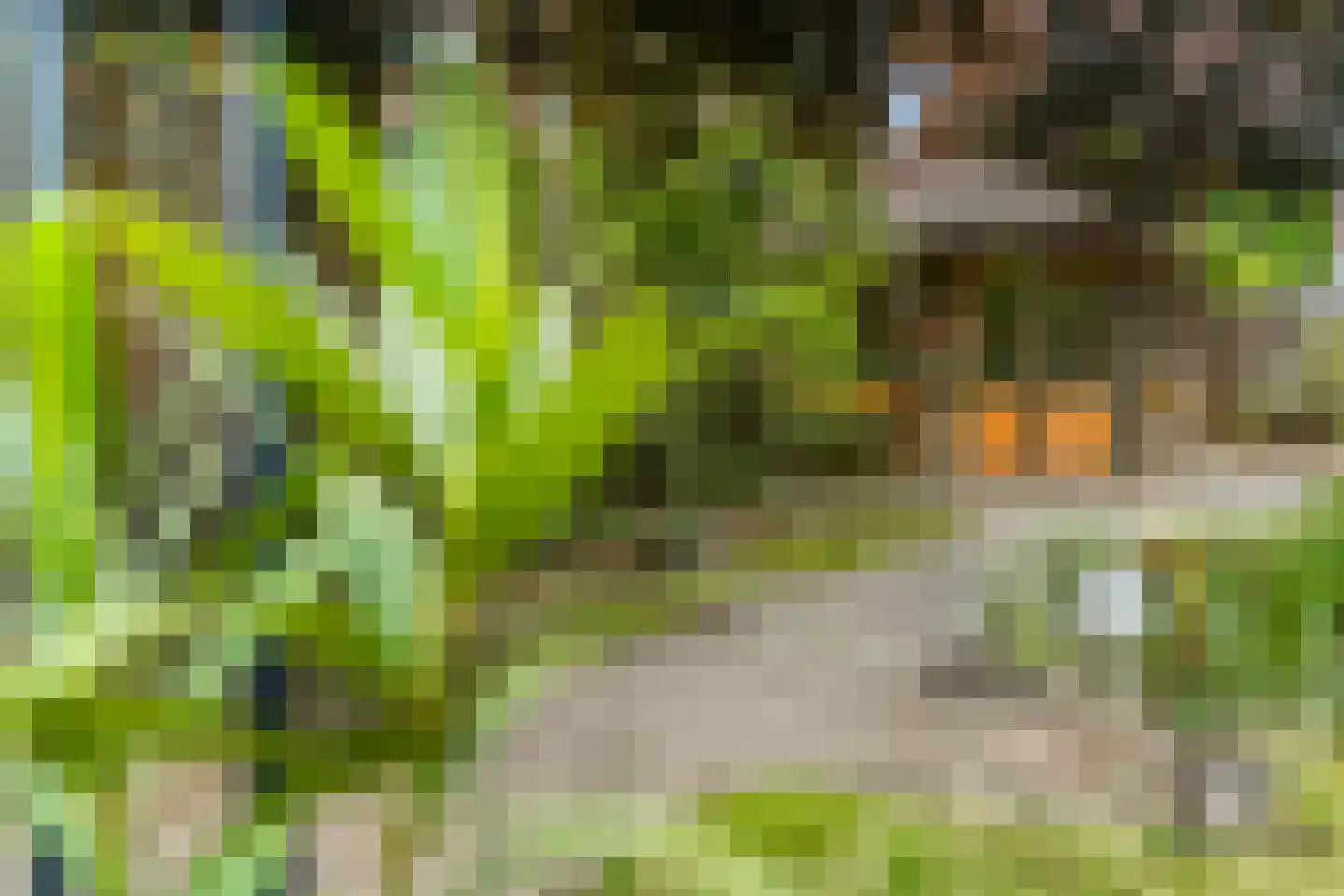 Blankespoorselandweg 27 Lunteren thumbnail 29
