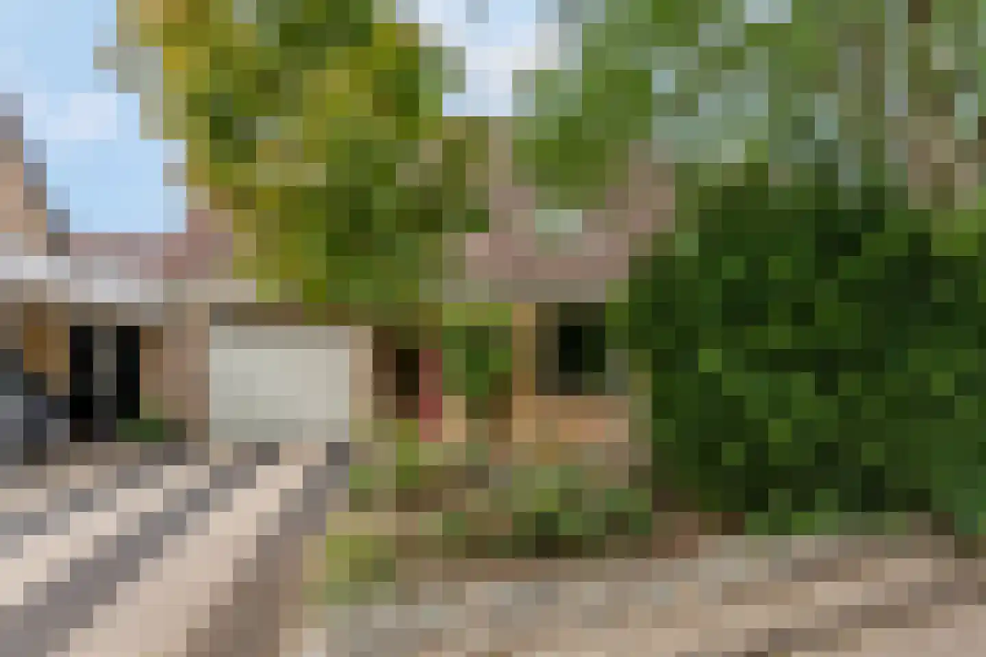 Blankespoorselandweg 27 Lunteren thumbnail 33