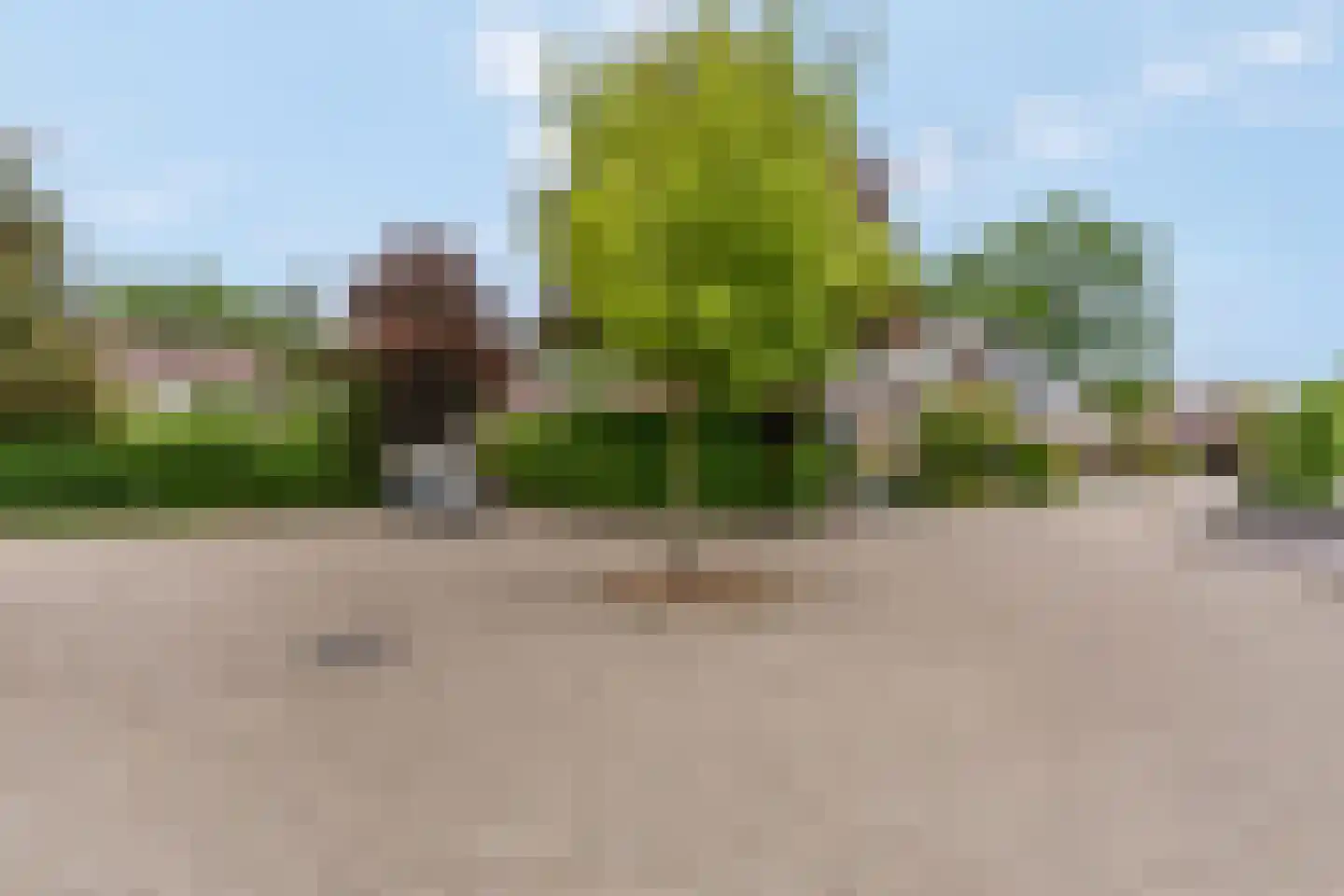 Blankespoorselandweg 27 Lunteren thumbnail 37