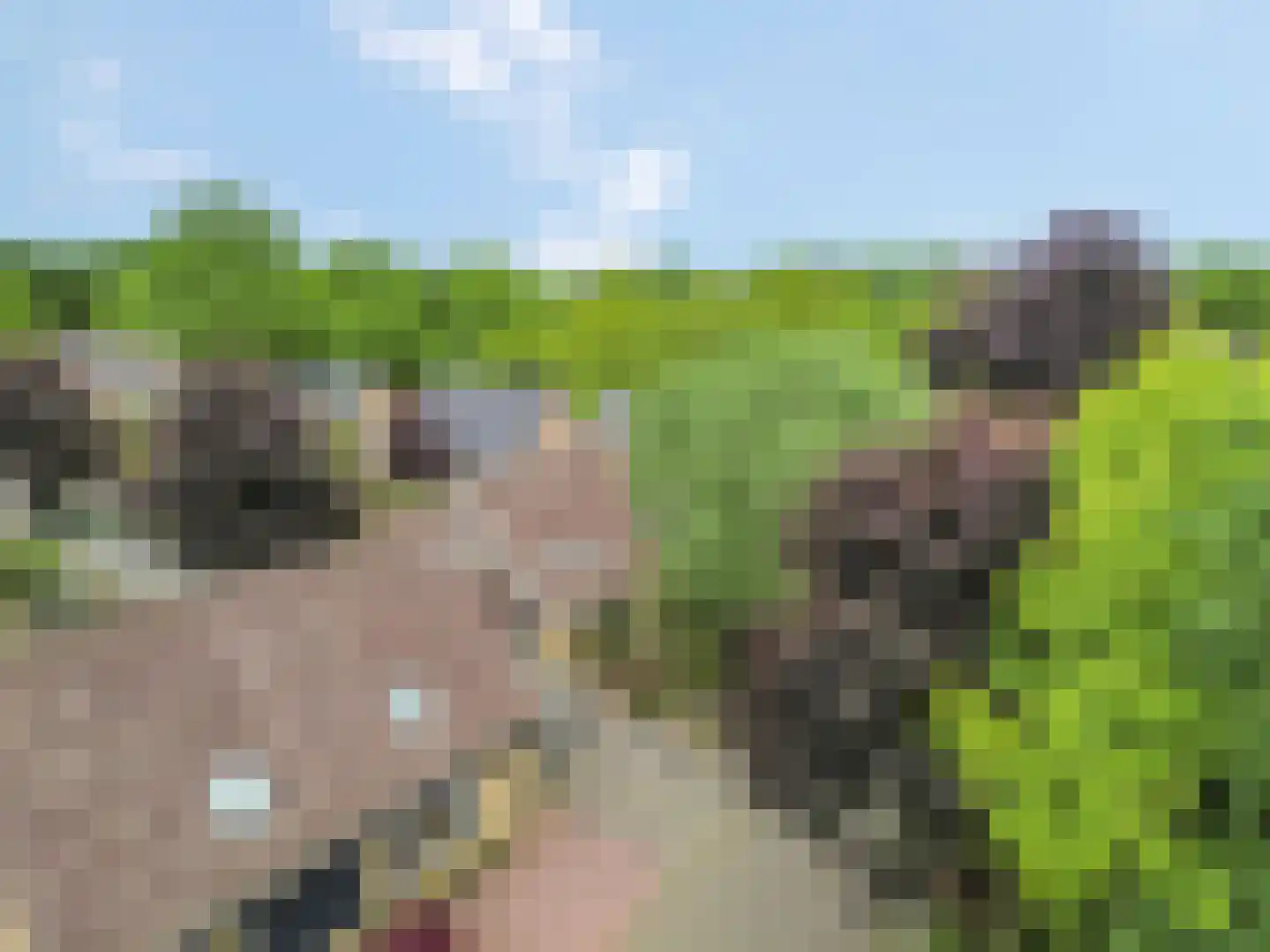 Blankespoorselandweg 27 Lunteren thumbnail 38