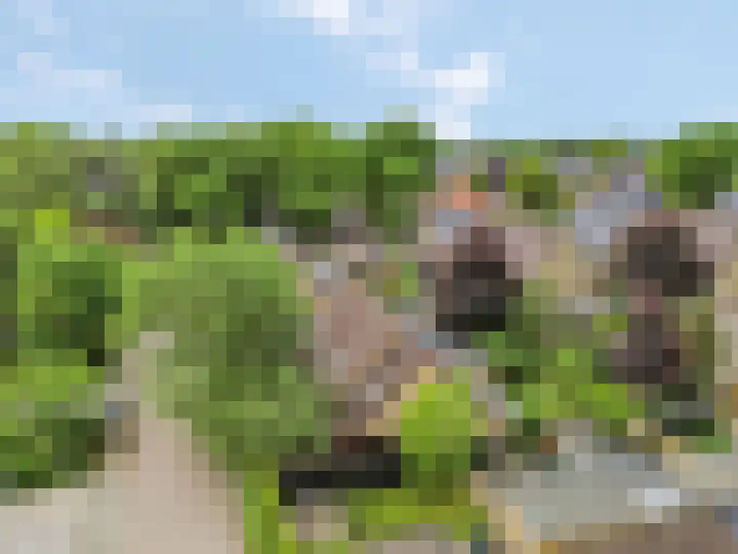 Blankespoorselandweg 27 Lunteren thumbnail 39