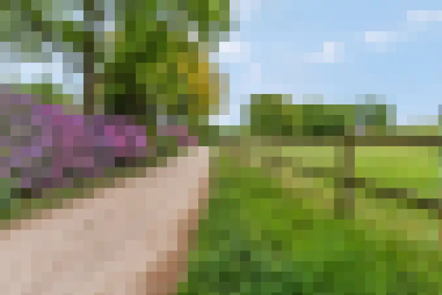 Blankespoorselandweg 27 Lunteren thumbnail 41