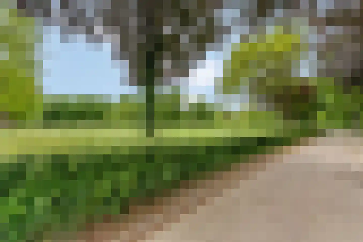 Blankespoorselandweg 27 Lunteren thumbnail 42