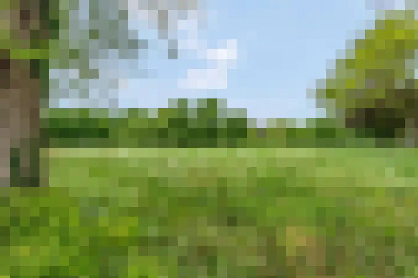 Blankespoorselandweg 27 Lunteren thumbnail 44