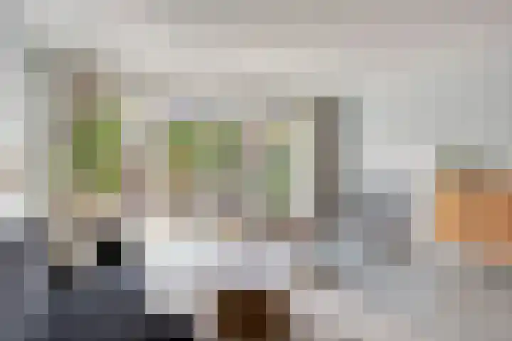Blankestijnhof 9 Veenendaal thumbnail 10
