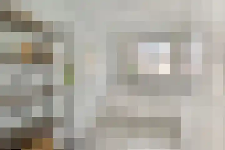 Blankestijnhof 9 Veenendaal thumbnail 14