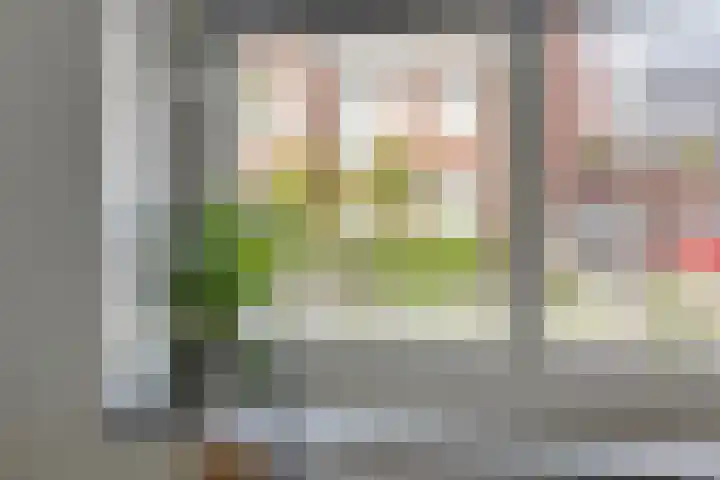 Blankestijnhof 9 Veenendaal thumbnail 15