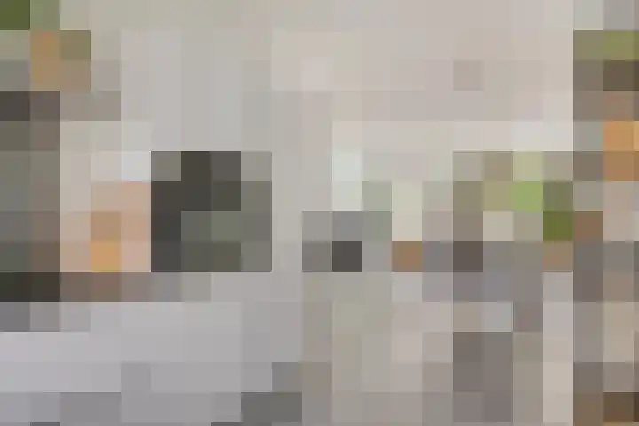 Blankestijnhof 9 Veenendaal thumbnail 16