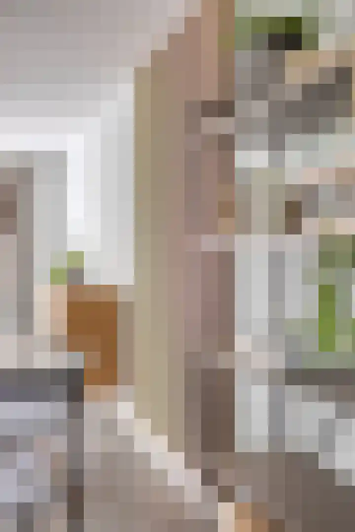 Blankestijnhof 9 Veenendaal thumbnail 17