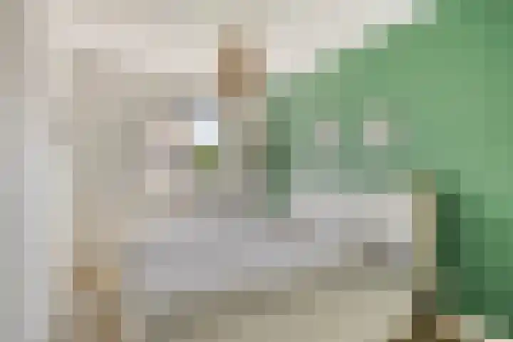 Blankestijnhof 9 Veenendaal thumbnail 25