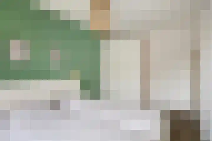 Blankestijnhof 9 Veenendaal thumbnail 26