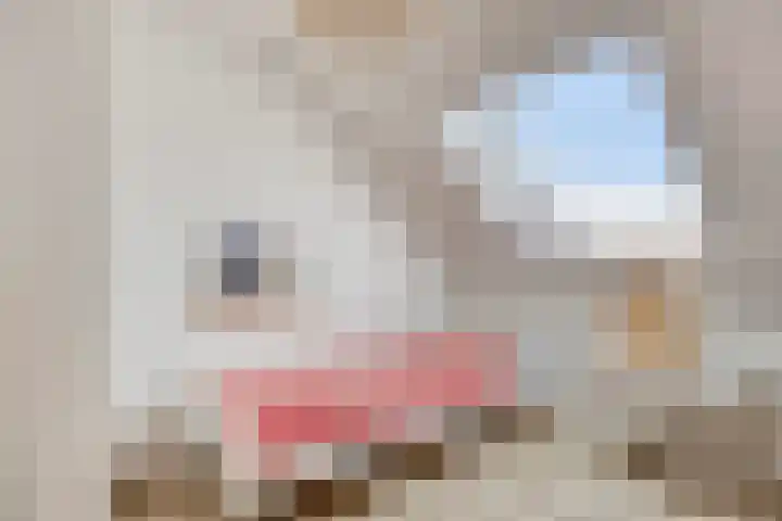 Blankestijnhof 9 Veenendaal thumbnail 29