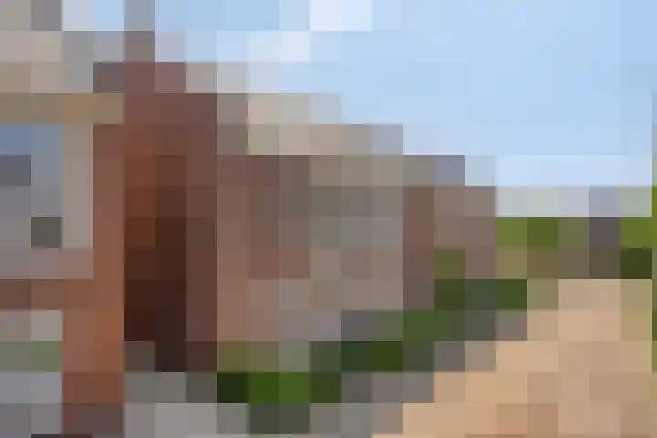 Blankestijnhof 9 Veenendaal thumbnail 33