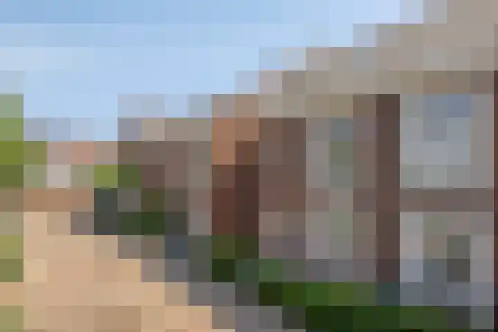 Blankestijnhof 9 Veenendaal thumbnail 34