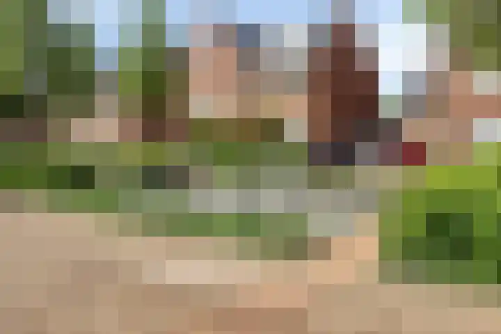 Blankestijnhof 9 Veenendaal thumbnail 4