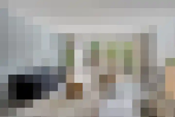 Blankestijnhof 9 Veenendaal thumbnail 7