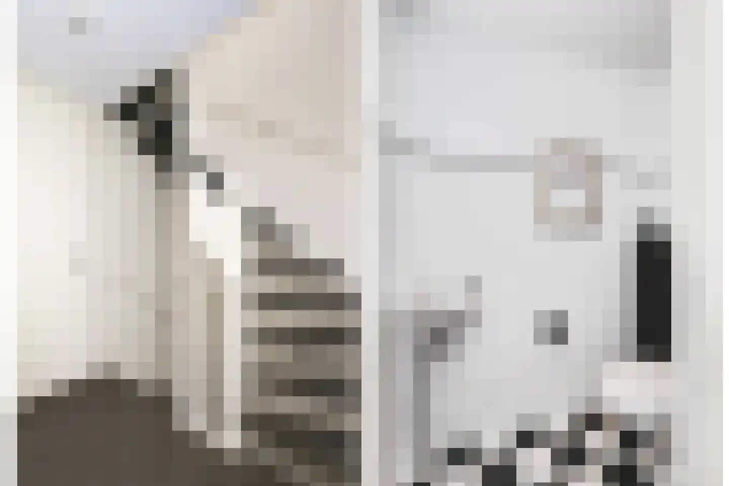 Blankvoorn 15 Amersfoort thumbnail 17