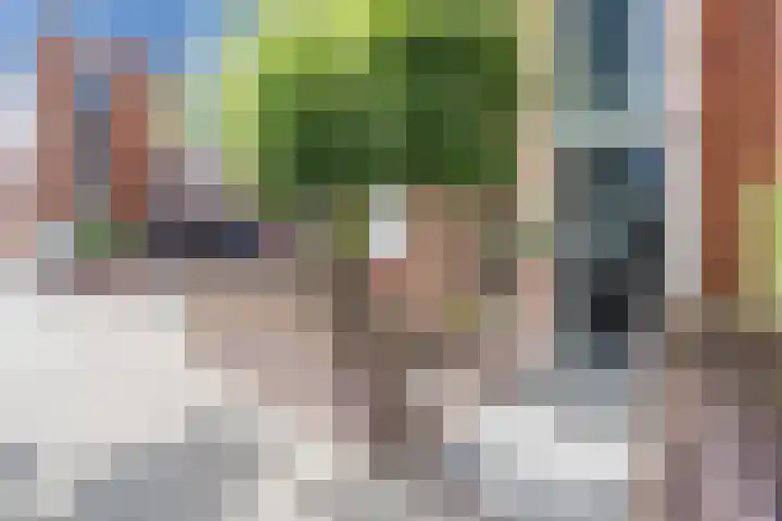 Blankvoorn 20 Papendrecht thumbnail 15