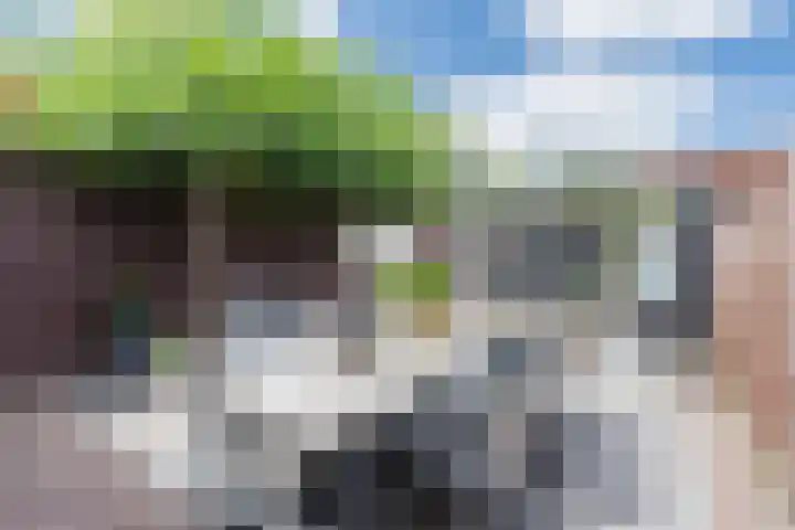 Blankvoorn 20 Papendrecht thumbnail 30