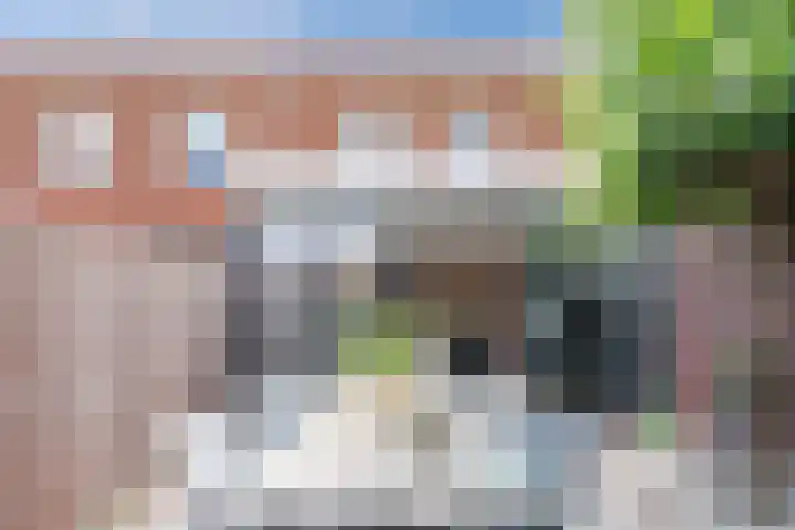 Blankvoorn 20 Papendrecht thumbnail 33