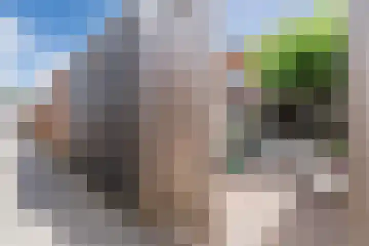 Blankvoorn 20 Papendrecht thumbnail 36