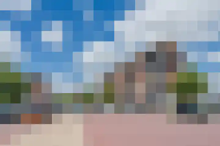 Blankvoorn 20 Papendrecht thumbnail 40