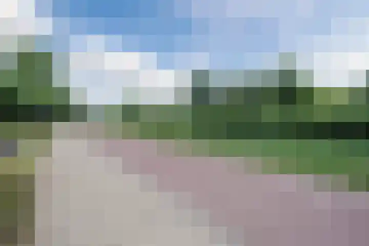 Blankvoorn 20 Papendrecht thumbnail 41