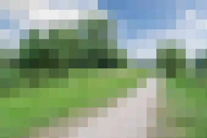 Blankvoorn 20 Papendrecht thumbnail 43