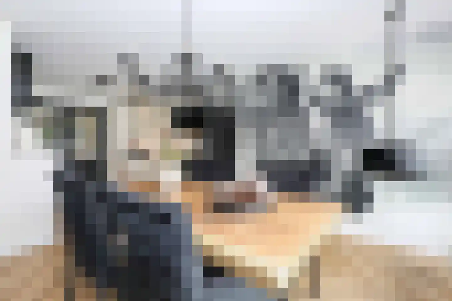 Blankvoorn 39 Amersfoort thumbnail 19