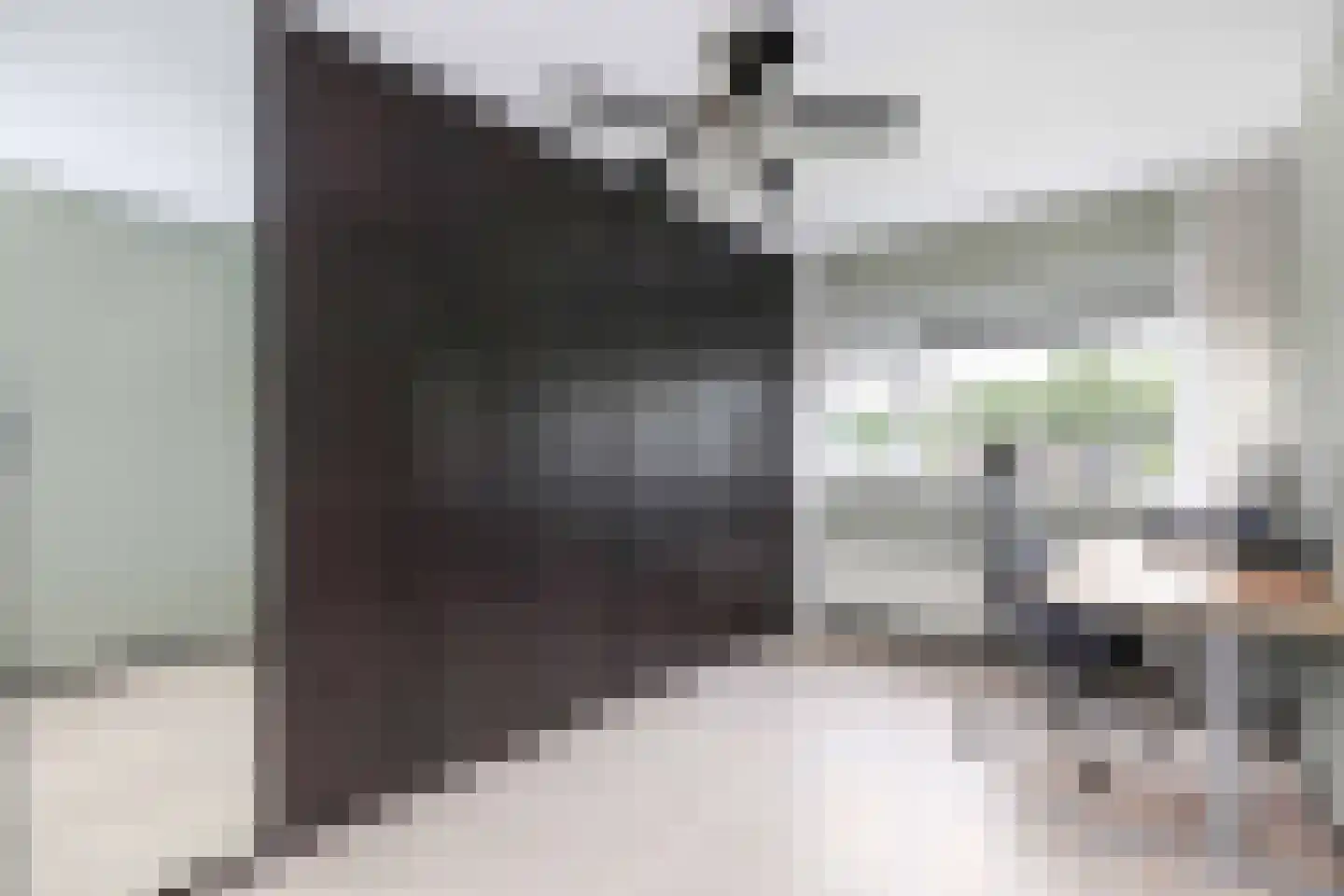 Blankvoorn 39 Amersfoort thumbnail 21