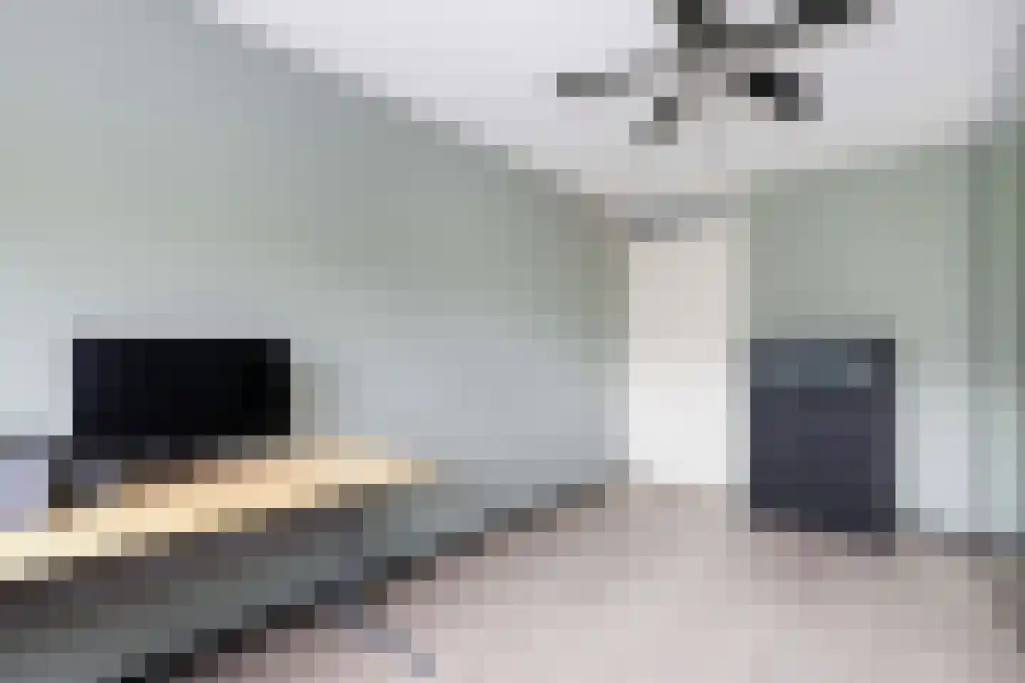 Blankvoorn 39 Amersfoort thumbnail 22