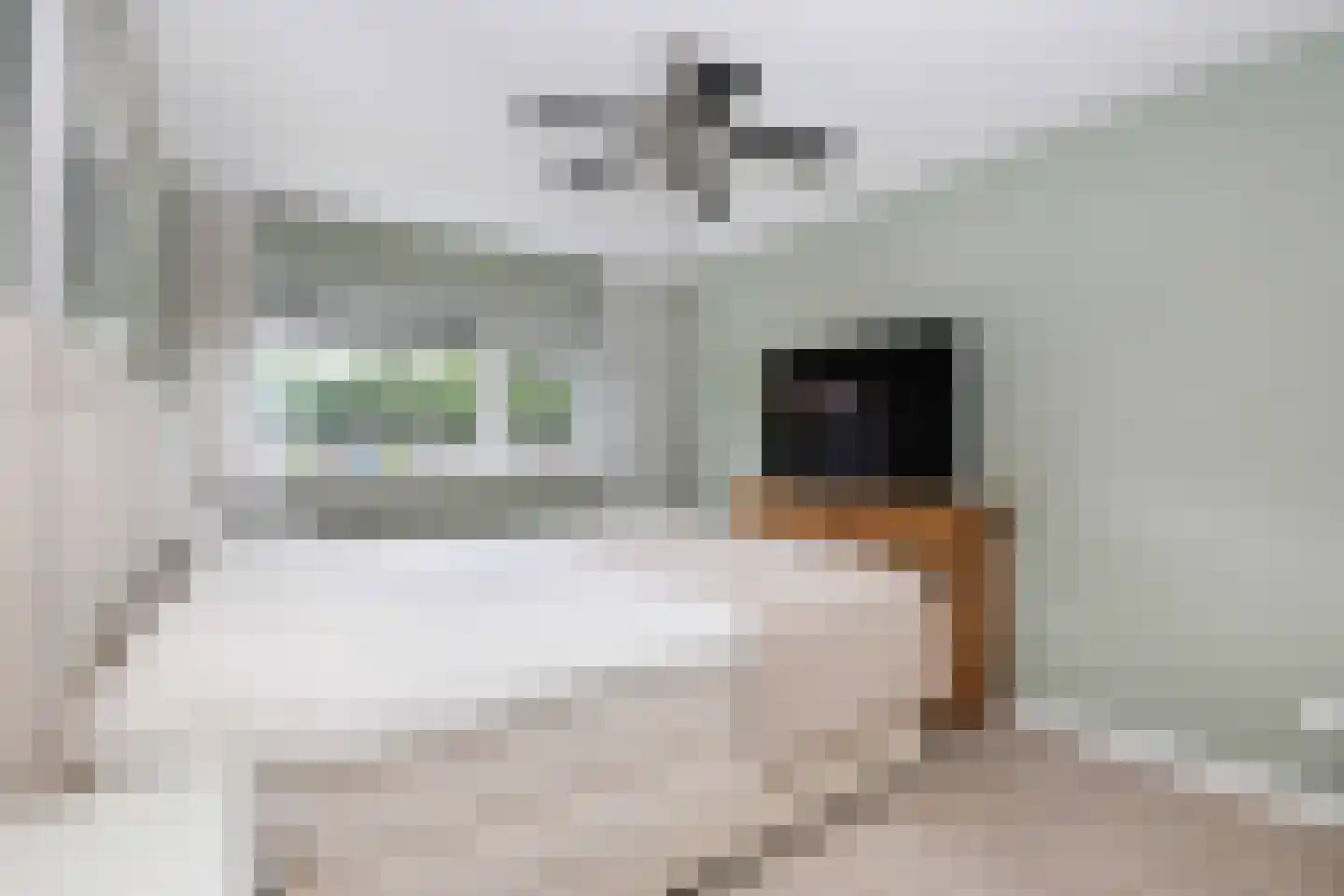 Blankvoorn 39 Amersfoort thumbnail 23