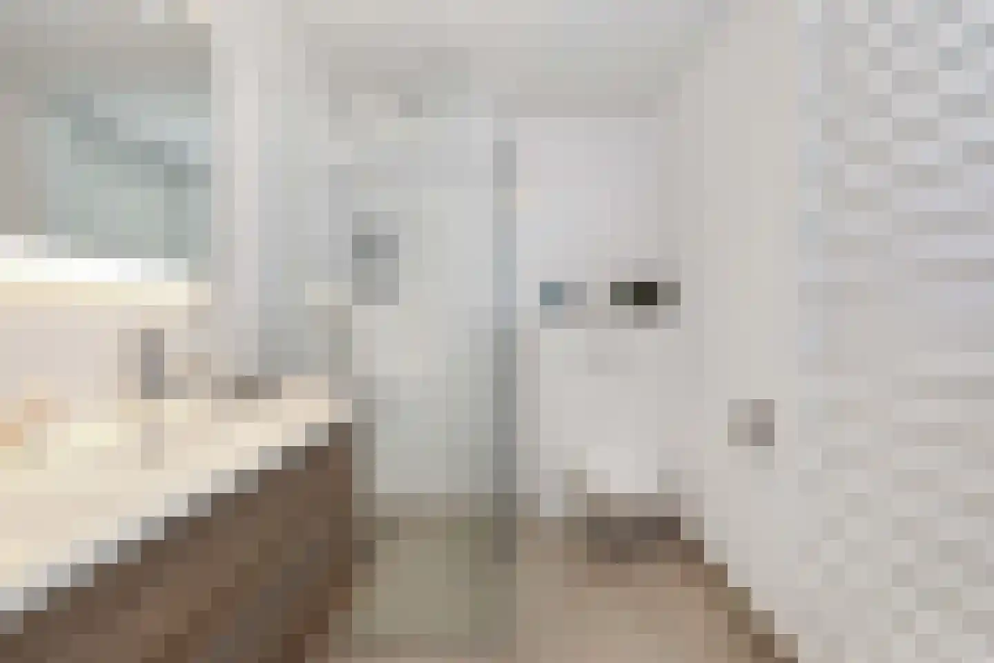 Blankvoorn 39 Amersfoort thumbnail 25