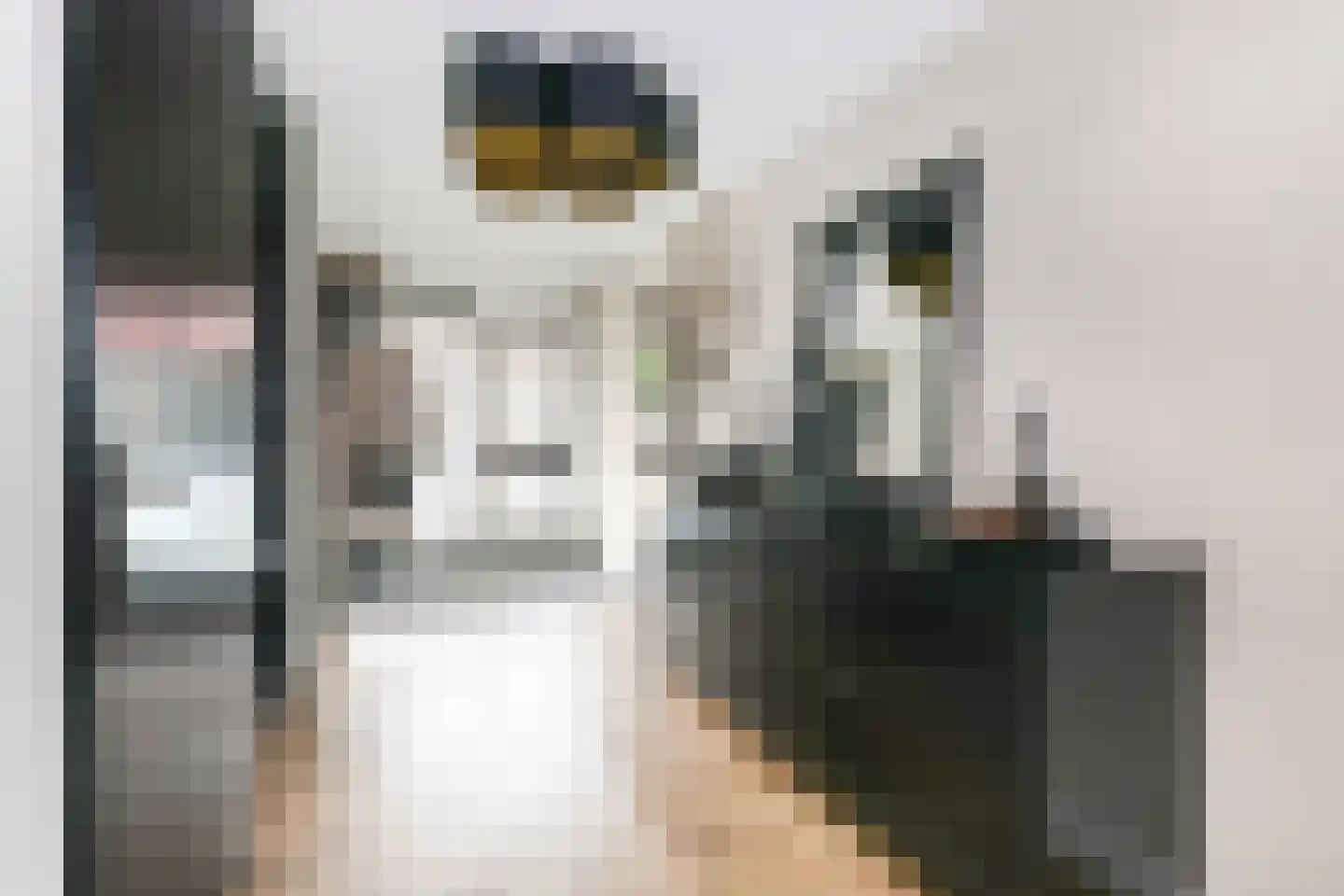 Blankvoorn 39 Amersfoort thumbnail 7