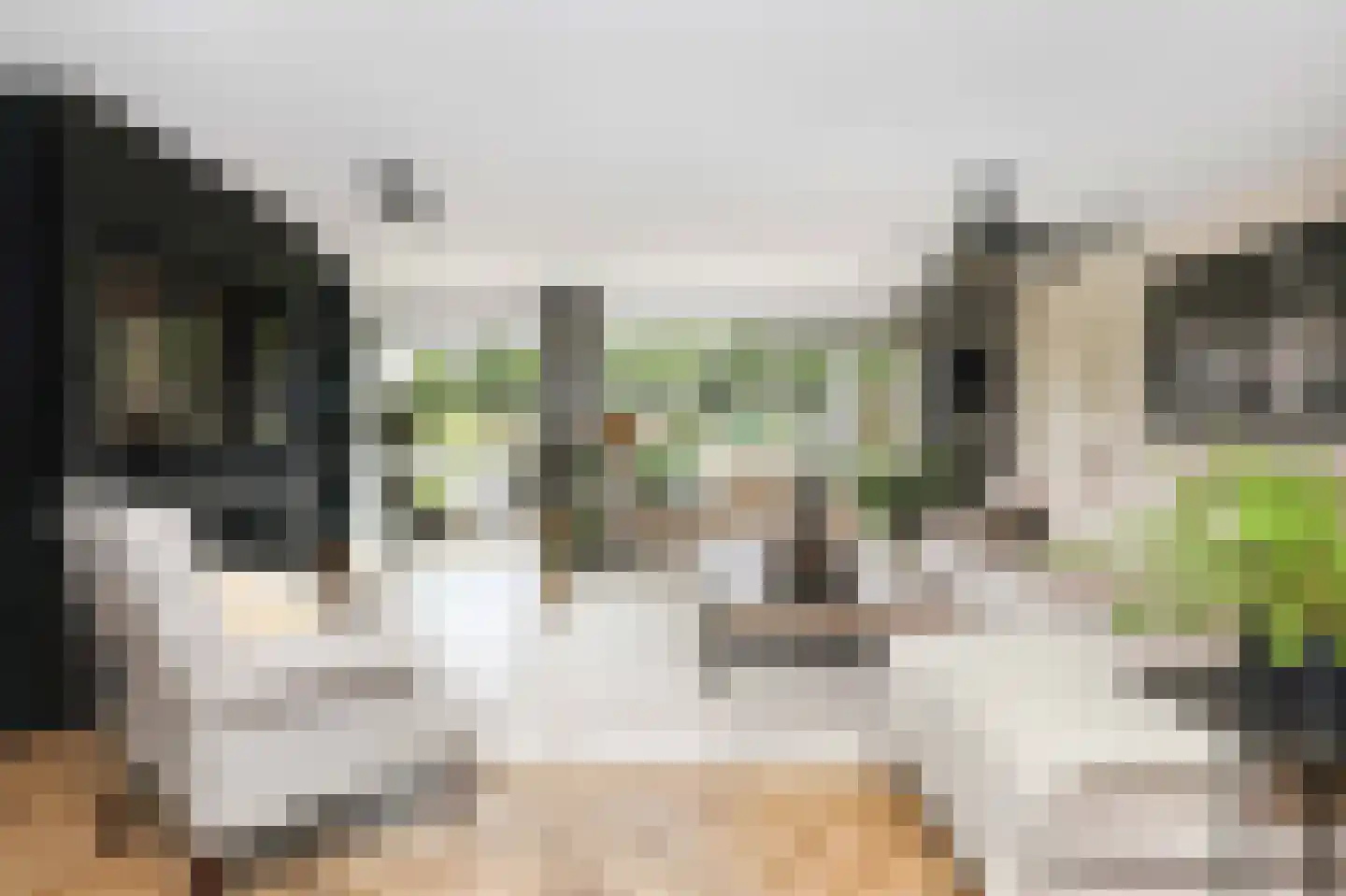 Blankvoorn 39 Amersfoort thumbnail 9